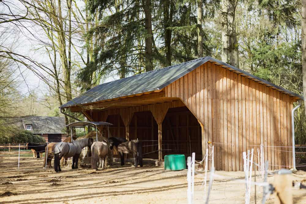 Pferdeställe
